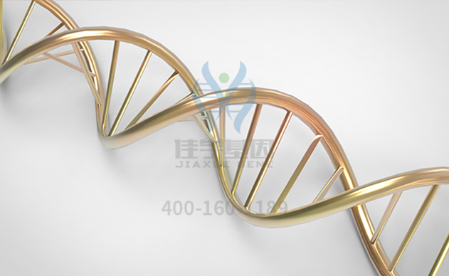 【佳学基因-基因检测】神经纤维瘤导致双胞胎哥哥越长越畸形，弟弟越长越帅气!